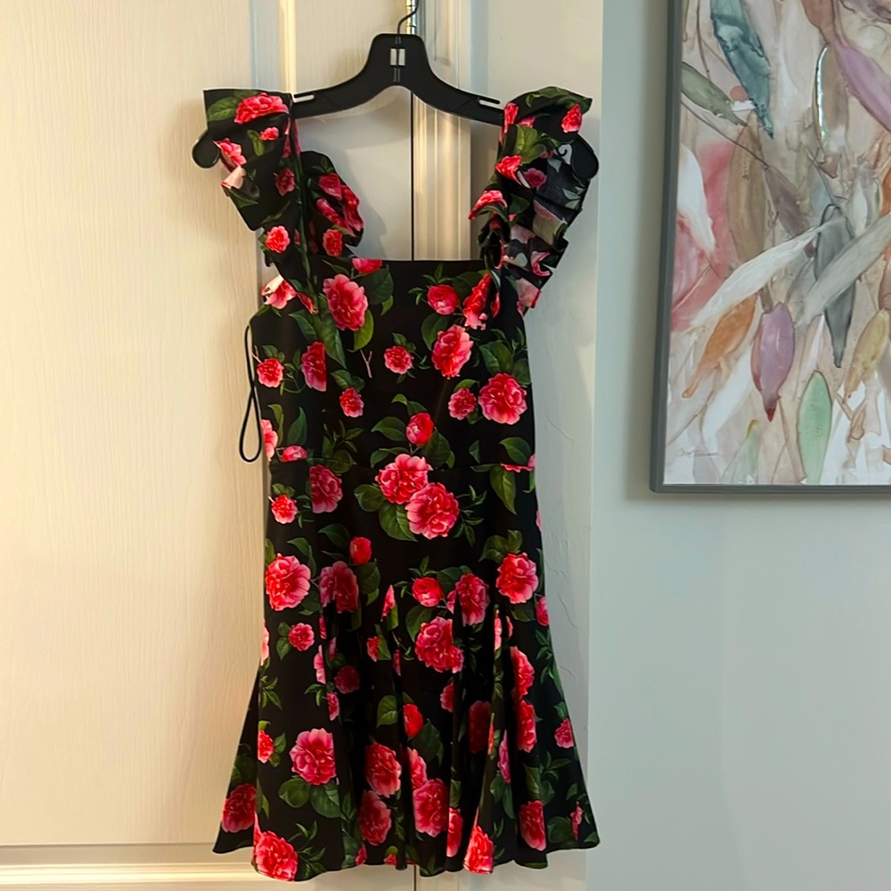 A beautiful never worn Alice and Olivia size 2 sweet dress